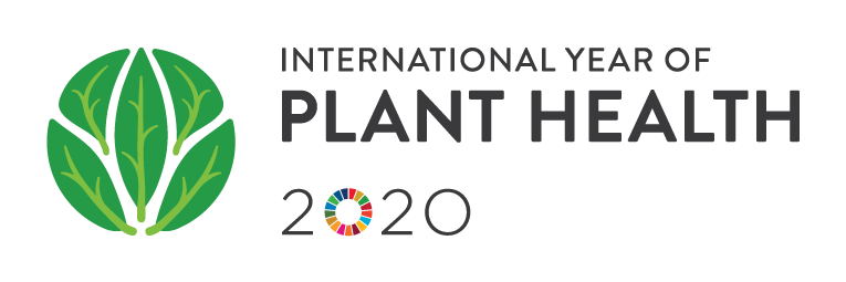 IYPH2020 Logo Horizontal EN