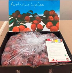 Australian lychees packed for the USA